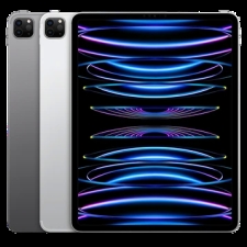 iPad Pro M2 11in 256GB Wifi 99% 