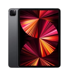 iPad Pro M1 256GB 11in Wifi 99% 